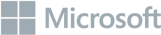 Microsoft Company